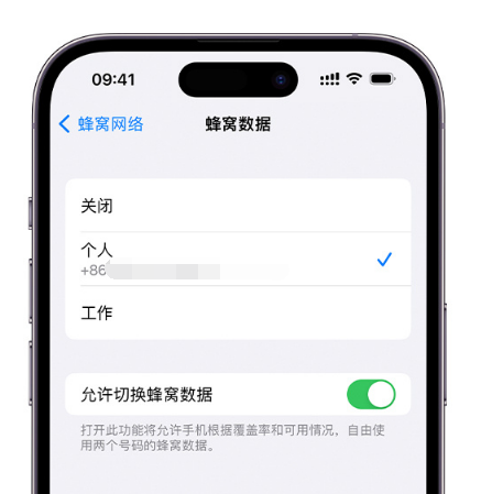 桥头镇苹果维修服务分享如何在iPhone上使用双卡 